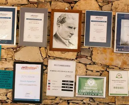 Grand Aquarium ホテル イチュメレール